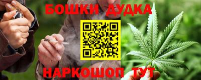 тгк Бийск