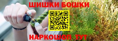 тгк Бийск