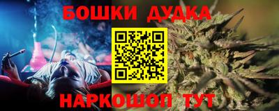 тгк Бийск