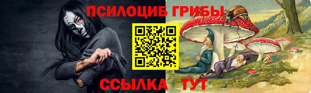 Галлюциногенные грибы прущие грибы Каменск-Уральский